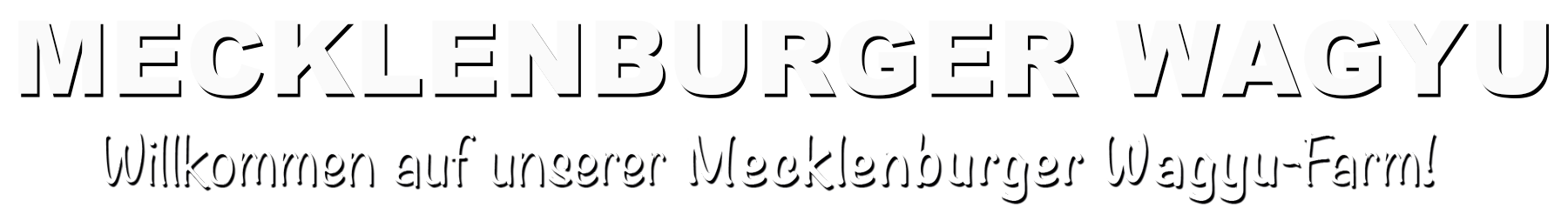Mecklenburger-Wagyu_home_2