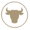 bulls-icon