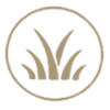 plant-icon